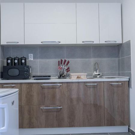 Gerardus Apartmani Vrsac Bagian luar foto
